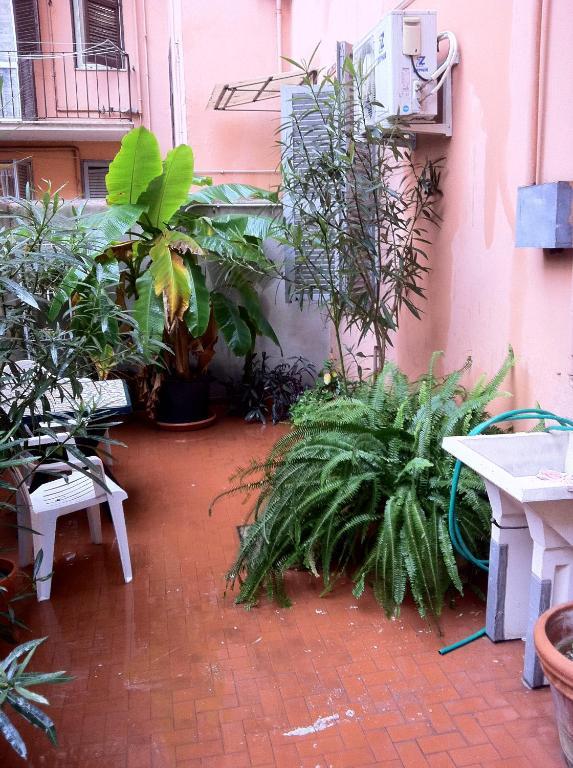 Ottimista Hotel Rome Bagian luar foto
